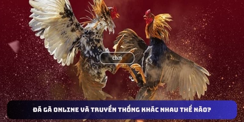 Đá gà online và truyền thống khác nhau thế nào?