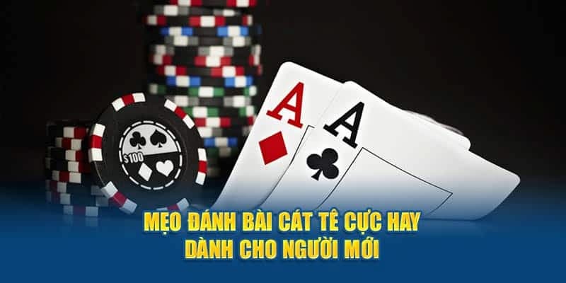 Kỹ năng chơi Catte đúng chuẩn chuyên gia