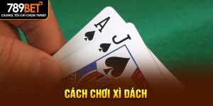 cách chơi xì dách