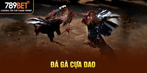 đá gà cựa dao