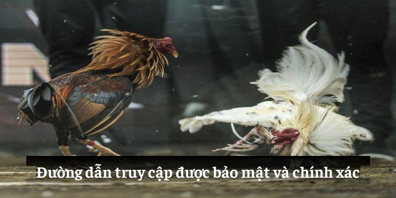 Đường dẫn truy cập được bảo mật và chính xác