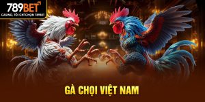 gà chọi việt nam