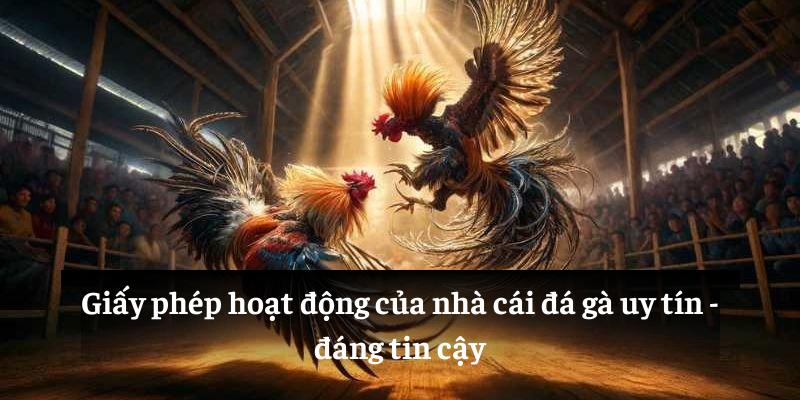 Giấy phép hoạt động của nhà cái đá gà uy tín - đáng tin cậy