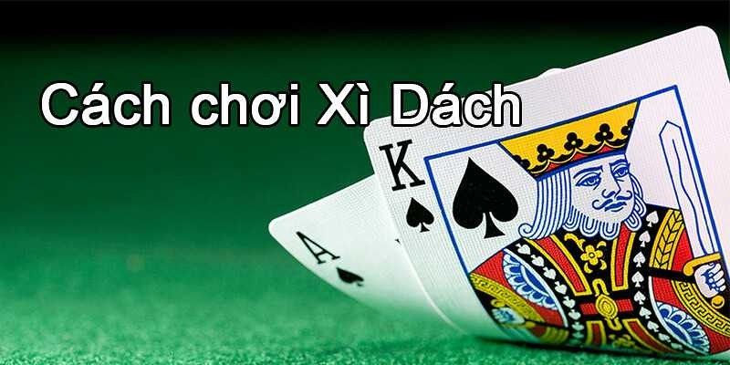 Luật và cách chơi xì dách mới nhất 2025