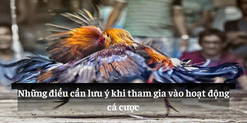 Những điều cần lưu ý khi tham gia vào hoạt động cá cược