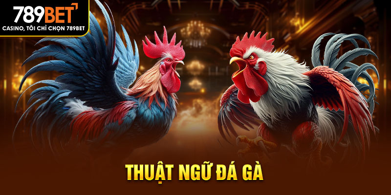 thuật ngữ đá gà