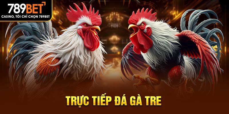 trực tiếp đá gà tre