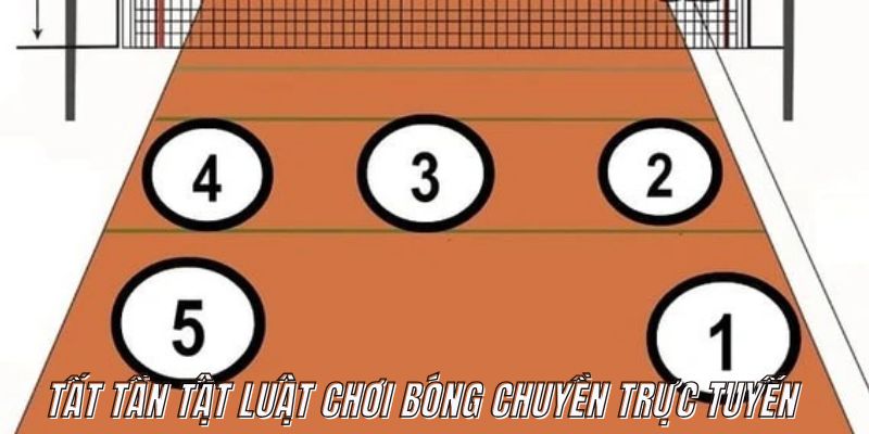 Tất tần tật luật chơi bóng chuyền trực tuyến